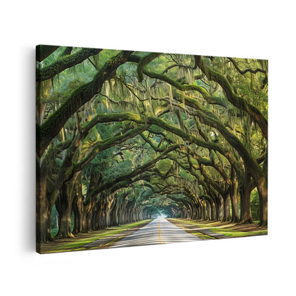 Canvas schilderij vooraanzicht Met Bomen Omzoomde Weg in Charleston, Zuid-Carolina