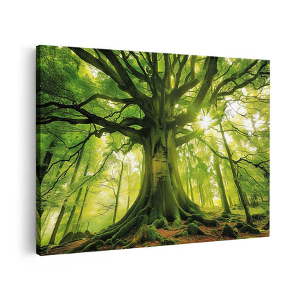 Canvas schilderij vooraanzicht Grote Groene Boom in het Bos