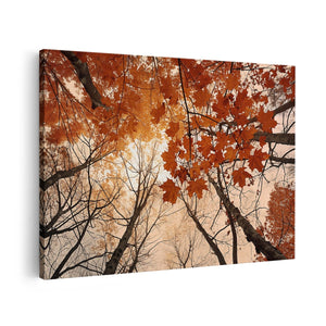 Canvas schilderij vooraanzicht Herfstbladeren in de Bomen
