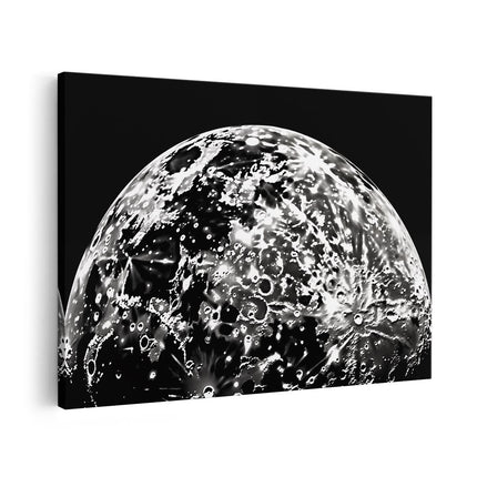 Canvas schilderij vooraanzicht Zwart Wit Beeld van een Maan