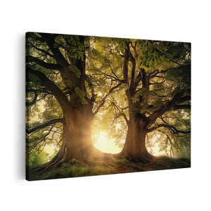 Canvas schilderij vooraanzicht De Zon schijnt door de Bomen