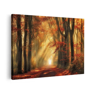 Canvas schilderij vooraanzicht De Zon schijnt door de Bomen