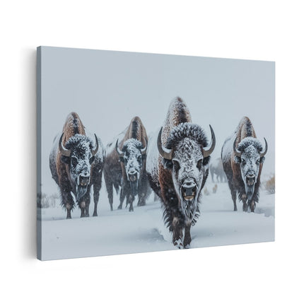 Canvas schilderij vooraanzicht Kudde Bizons die door de Sneeuw loopt