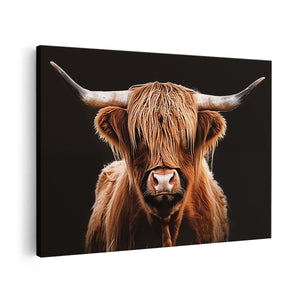 Canvas schilderij vooraanzicht Schotse Hooglandkoe met Lange Hoorns