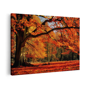 Canvas schilderij vooraanzicht Boom met Bladeren