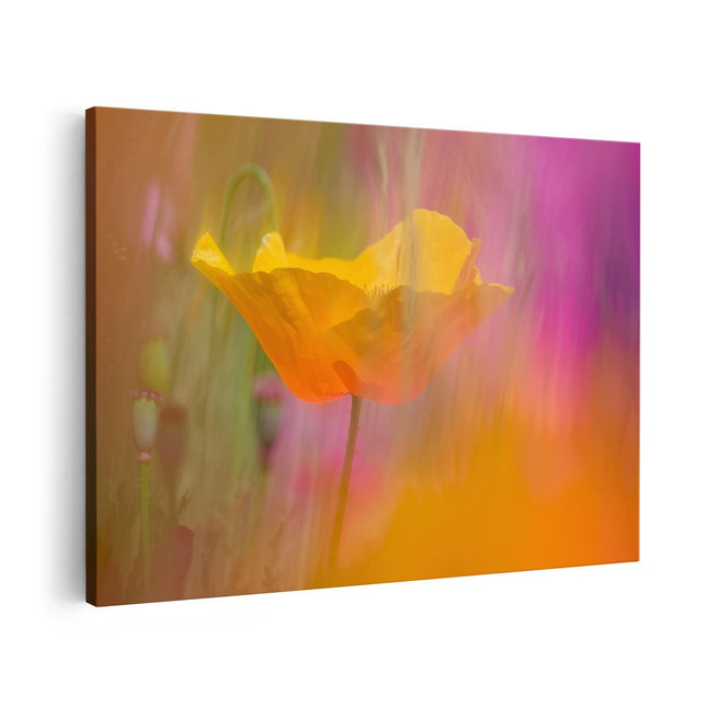 Canvas schilderij vooraanzicht Enkele Gele Klaproos in een Veld met Kleurrijke Bloemen