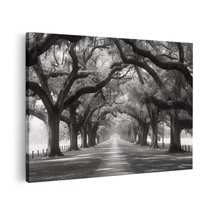 Canvas schilderij vooraanzicht Zwart Wit Beeld van een met Bomen Omzoomd Pad