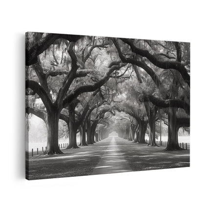 Canvas schilderij vooraanzicht Zwart Wit Beeld van een met Bomen Omzoomd Pad