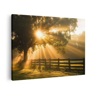 Canvas schilderij vooraanzicht Zonnestralen Komen door een Boom in een Veld