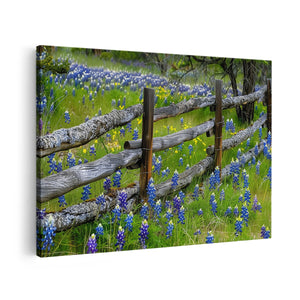 Canvas schilderij vooraanzicht Hek met Bluebonnets op de Achtergrond