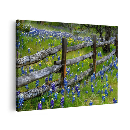 Canvas schilderij vooraanzicht Hek, Bluebonnets, Texas