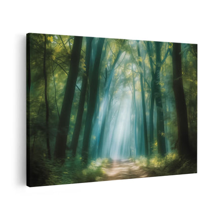 Canvas schilderij vooraanzicht Pad door een Bos met Zonlicht dat door de Bomen Schijnt