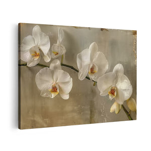 Canvas schilderij vooraanzicht Witte Orchideeën op een Tak