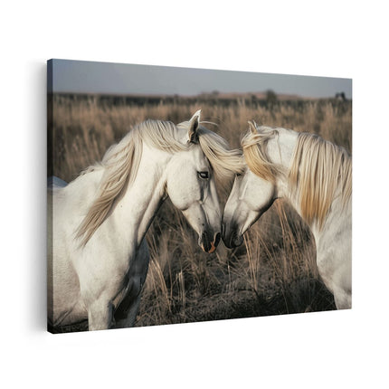 Canvas schilderij vooraanzicht Twee Witte Paarden in een Veld