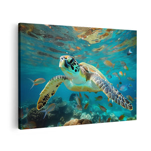 Canvas schilderij vooraanzicht Schildpad die in de Oceaan Zwemt