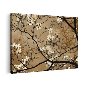 Canvas schilderij vooraanzicht Witte Bloemen aan een Boom