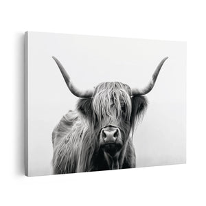 Canvas schilderij vooraanzicht Zwart Witfoto van een Hooglandkoe