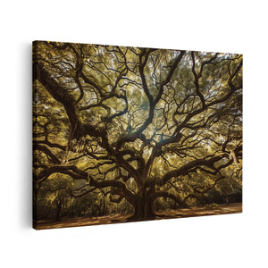 Canvas schilderij vooraanzicht Oude Eik in Charleston, Zuid-Carolina
