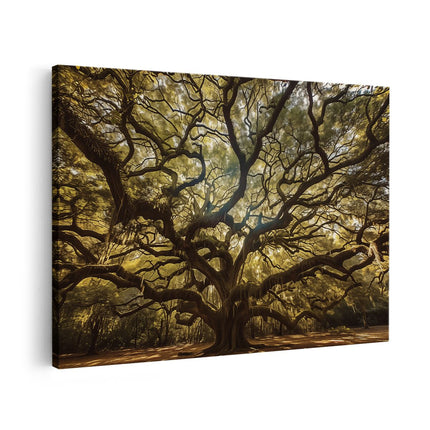 Canvas schilderij vooraanzicht Oude Eik in Charleston, Zuid-Carolina