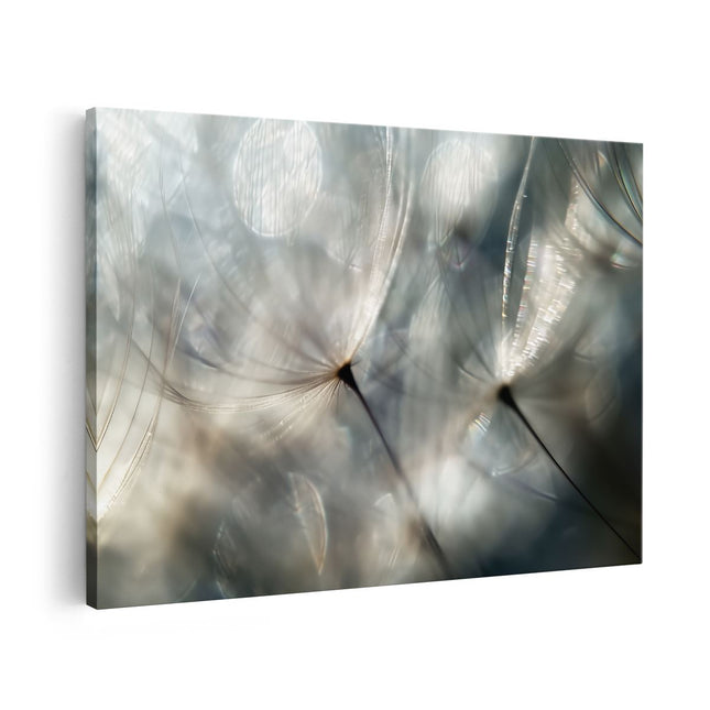 Canvas schilderij vooraanzicht Close-Up van een Paardebloem