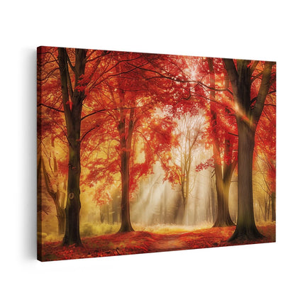 Canvas schilderij vooraanzicht Rood Herfstbos met Zonlicht dat door de Bomen Schijnt