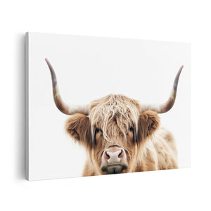 Canvas schilderij vooraanzicht Schotse Hooglandkoe met Hoorns