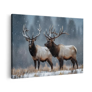 Canvas schilderij vooraanzicht Twee Elanden Staan ​​In de Sneeuw