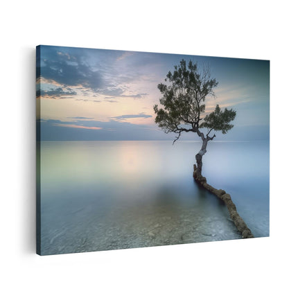 Canvas schilderij vooraanzicht Eenzame Boom op een Strand bij Zonsondergang