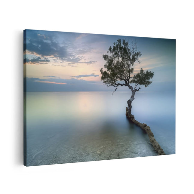 Canvas schilderij vooraanzicht Eenzame Boom op een Strand bij Zonsondergang