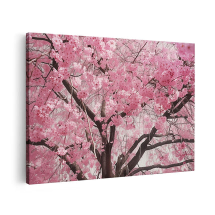 Canvas schilderij vooraanzicht Roze Kersenbloesems op een Boom