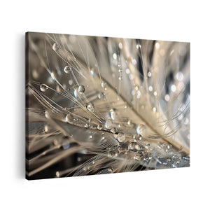 Canvas schilderij vooraanzicht Waterdruppels op een Veer