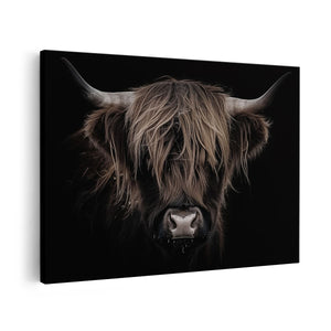 Canvas schilderij vooraanzicht Schotse Hooglandkoe op een Zwarte Achtergrond