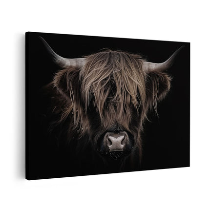 Canvas schilderij vooraanzicht Schotse Hooglandkoe op een Zwarte Achtergrond