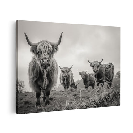 Canvas schilderij vooraanzicht Groep Hooglandkoeien die in een Veld Staan