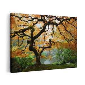 Canvas schilderij vooraanzicht Oude Knoestige Boom