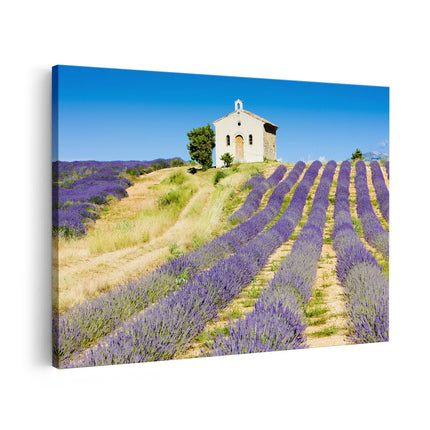 Canvas schilderij vooraanzicht Lavendel Panorama