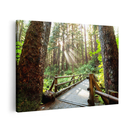 Canvas schilderij vooraanzicht Brug in het Bos