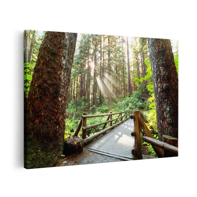 Canvas schilderij vooraanzicht Brug in het Bos