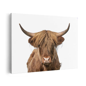 Canvas schilderij vooraanzicht Longhorn
