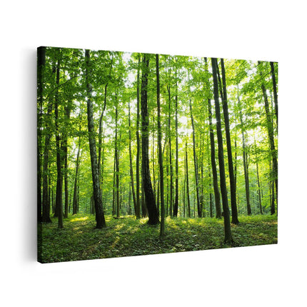 Canvas schilderij vooraanzicht Groene Bos II