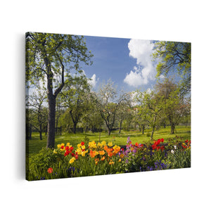 Canvas schilderij vooraanzicht Boomgaard in Bloei