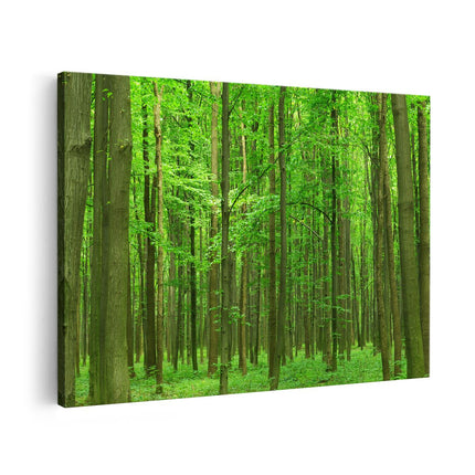 Canvas schilderij vooraanzicht Groene Bos