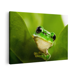 Canvas schilderij vooraanzicht Kikker