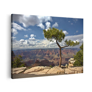 Canvas schilderij vooraanzicht Grand Canyon met Boom