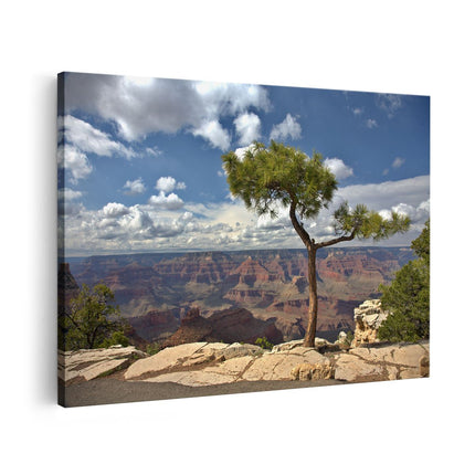 Canvas schilderij vooraanzicht Grand Canyon met Boom
