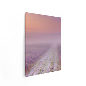 Canvas Schilderij Staand Pad in de Weide tijdens de Mist