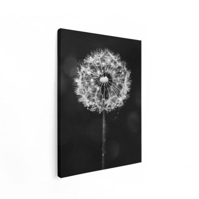 Canvas Schilderij Staand Paardenbloem in Zwart en Wit