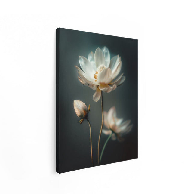 Canvas Schilderij Staand Twee Witte Lotusbloemen op een Donkere Achtergrond