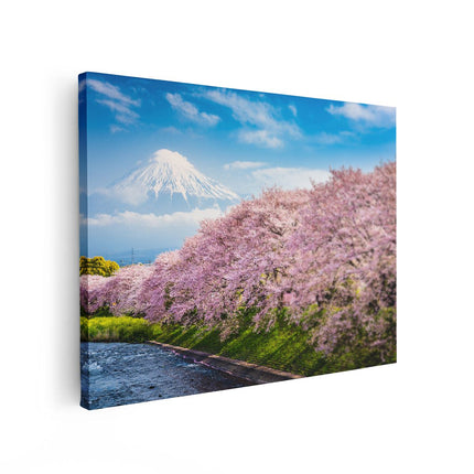 Canvas Schilderij Vooraanzicht Roze Bloesembomen Bij De Fuji Berg