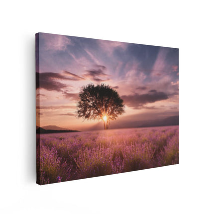 Canvas Schilderij Vooraanzicht Bloemenveld Met Lavendel Bij Zonsondergang